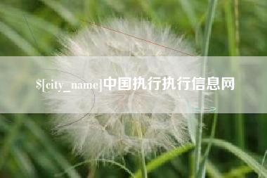 章丘中国执行执行信息网