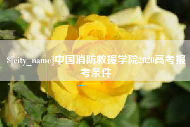 章丘中国消防救援学院2020高考报考条件