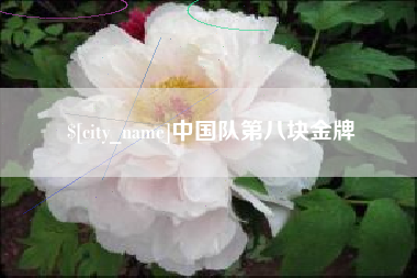 章丘中国队第八块金牌