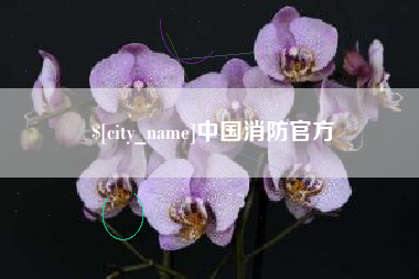 章丘中国消防官方
