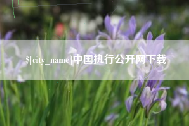 章丘中国执行公开网下载