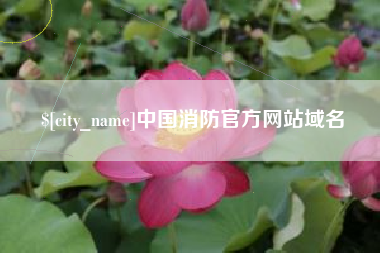 章丘中国消防官方网站域名
