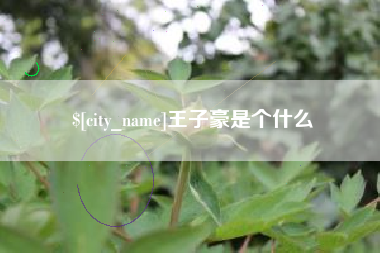 章丘王子豪是个什么