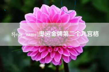 章丘奥运金牌第二个九宫格