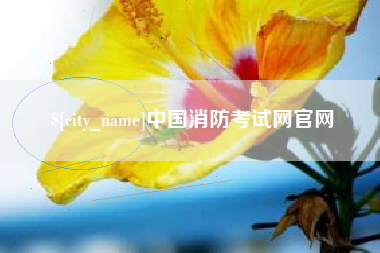 章丘中国消防考试网官网