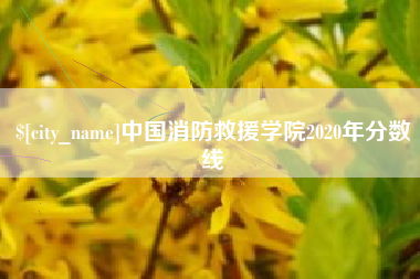 章丘中国消防救援学院2020年分数线