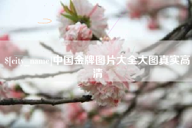 章丘中国金牌图片大全大图真实高清