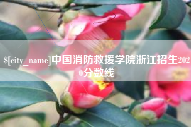 章丘中国消防救援学院浙江招生2020分数线