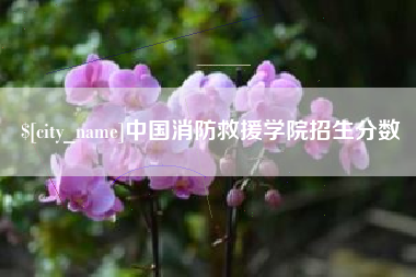 章丘中国消防救援学院招生分数