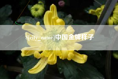章丘中国金牌样子