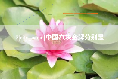 章丘中国六块金牌分别是