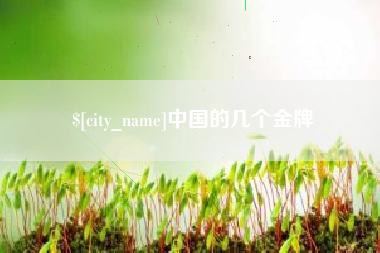 章丘中国的几个金牌