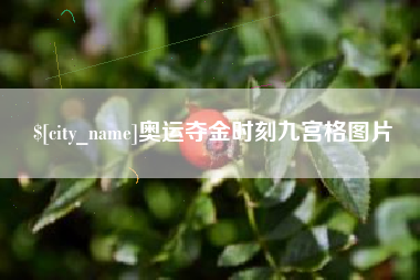 章丘奥运夺金时刻九宫格图片