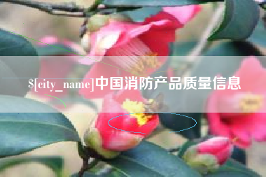 章丘中国消防产品质量信息