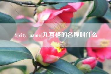 章丘九宫格的名称叫什么