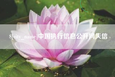 章丘中国执行信息公开网失信