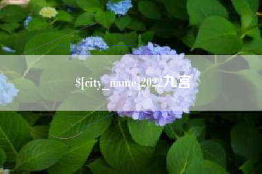 章丘2022九宫
