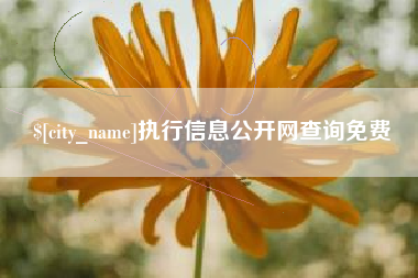 章丘执行信息公开网查询免费