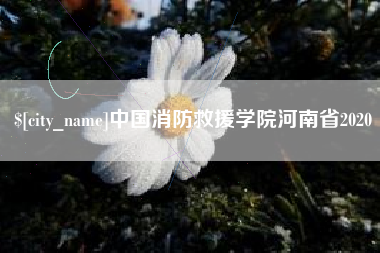 章丘中国消防救援学院河南省2020